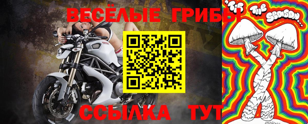 Галлюциногенные грибы Magic Shrooms  Вход с VPN  Галлюциногенные грибы Cubensis  Гудермес 