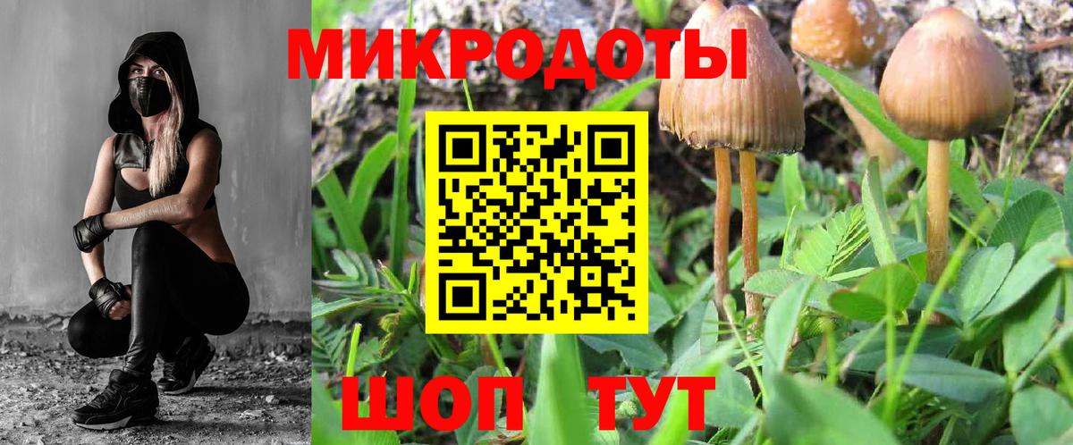 Псилоцибиновые грибы Cubensis Гудермес