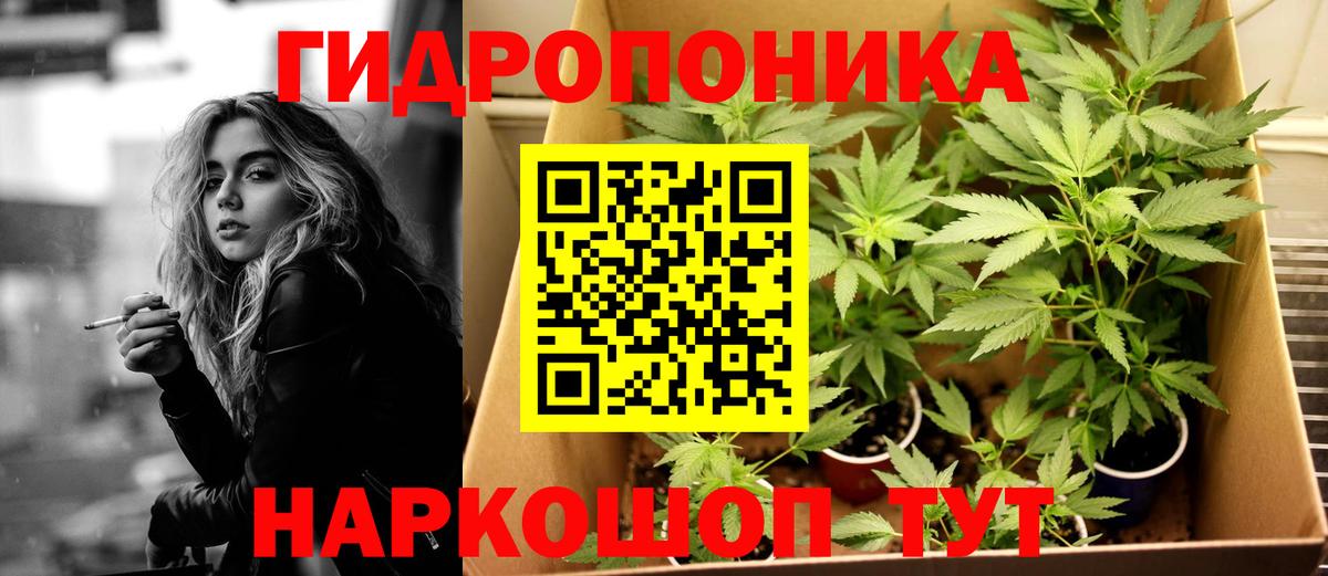 Бошки Шишки SATIVA & INDICA Гудермес